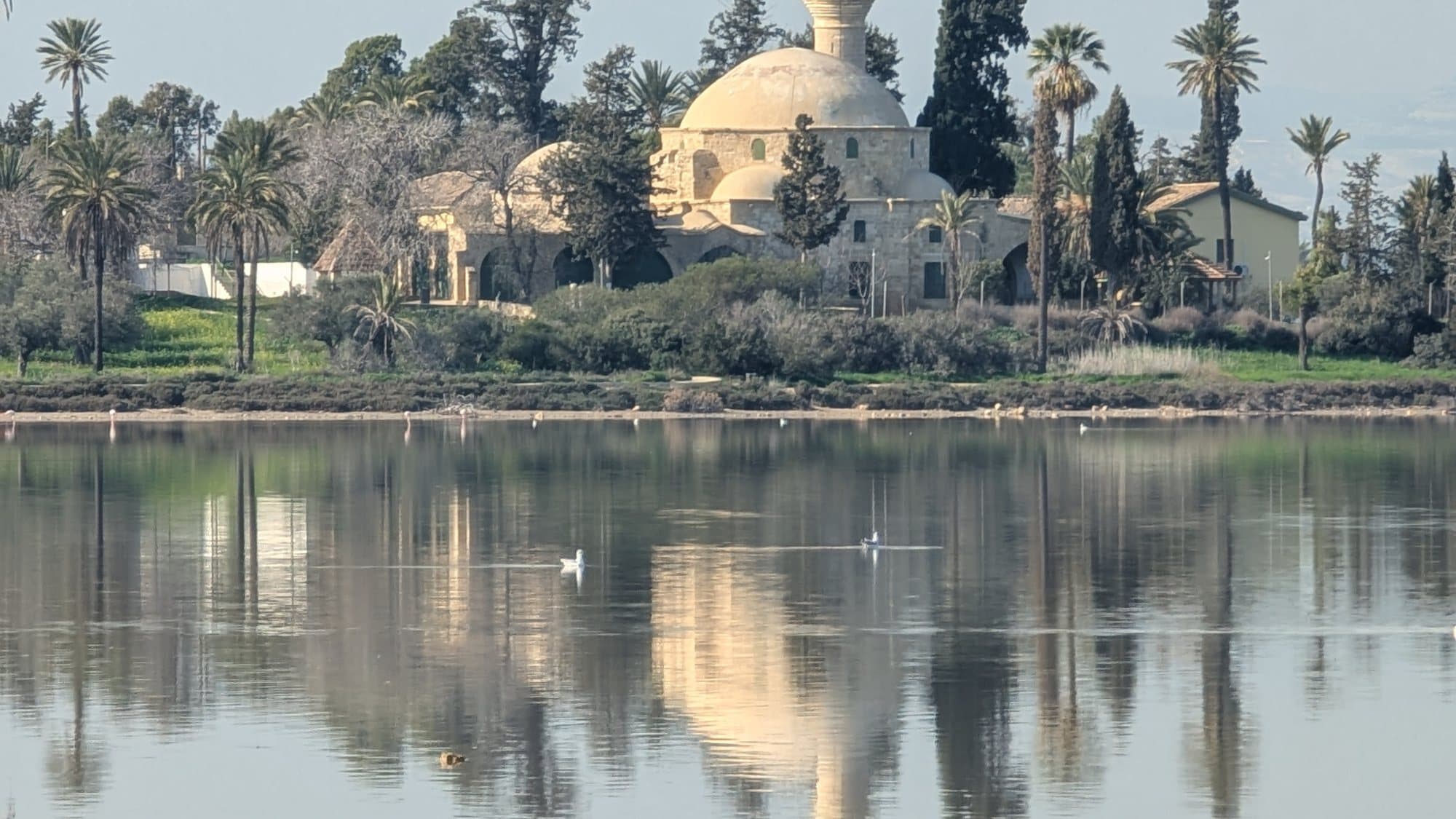 Hala Sultan Tekke reflected in the Larnaca salt lake.