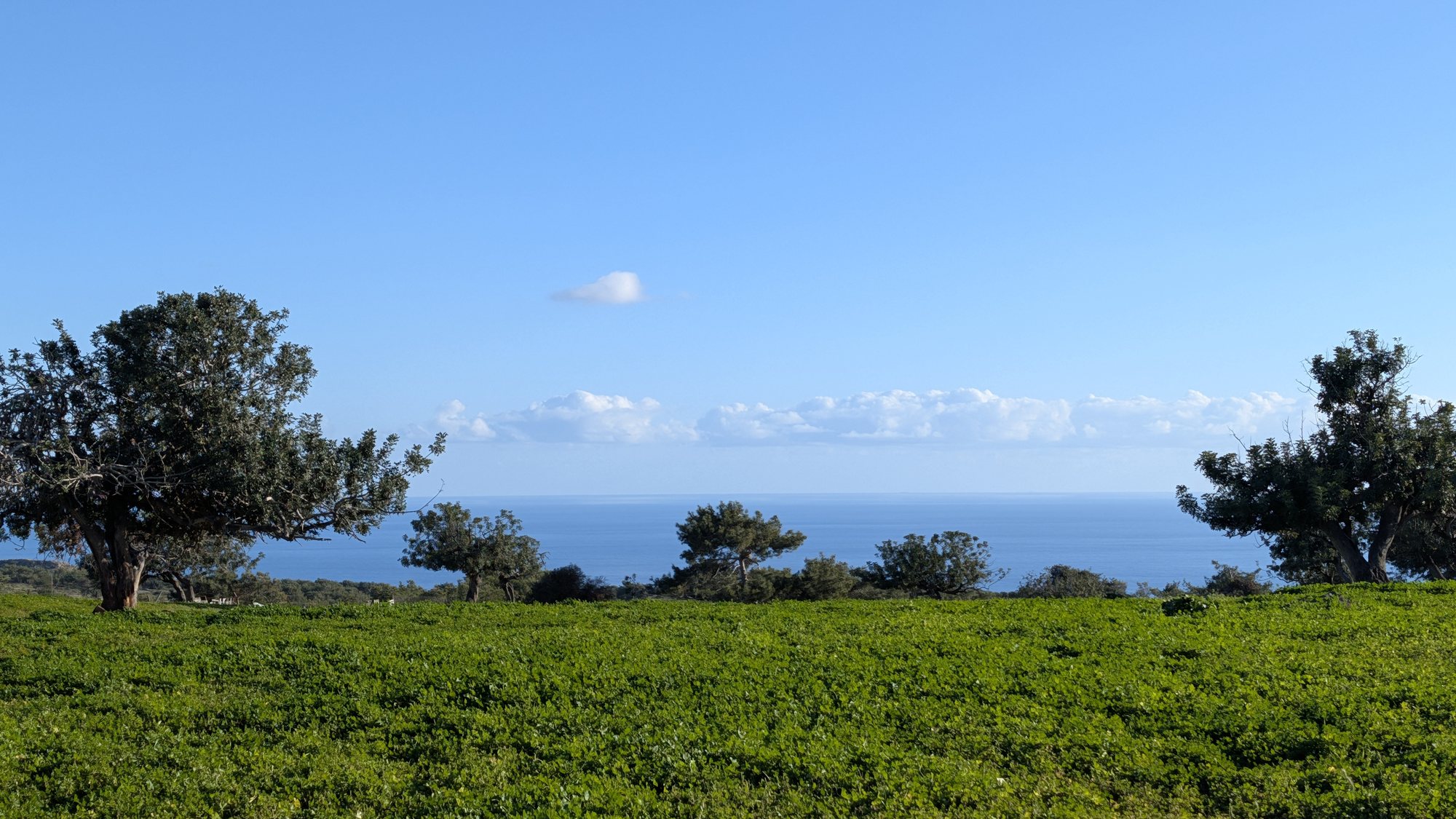 Green fields down to the sea